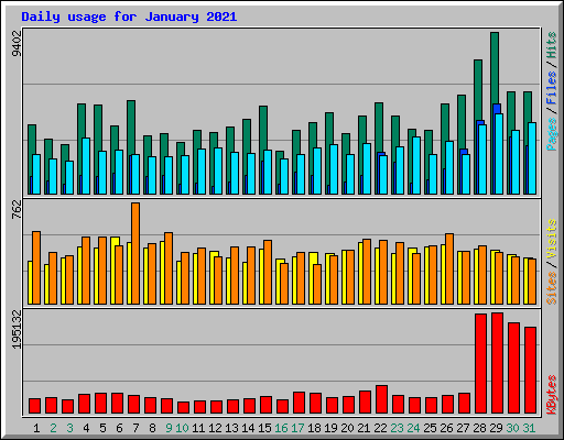 Daily usage for January 2021