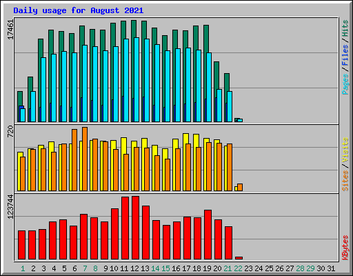 Daily usage for August 2021
