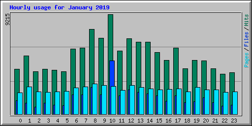 Hourly usage for January 2019