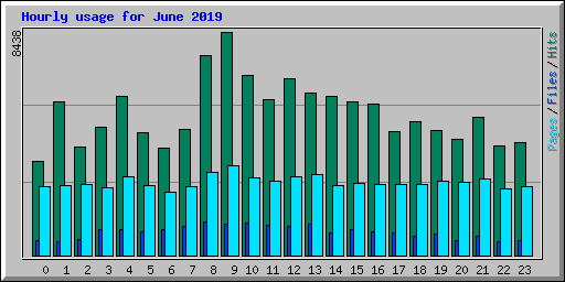 Hourly usage for June 2019