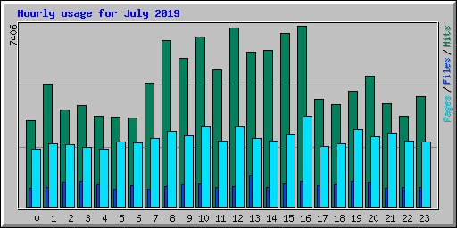 Hourly usage for July 2019