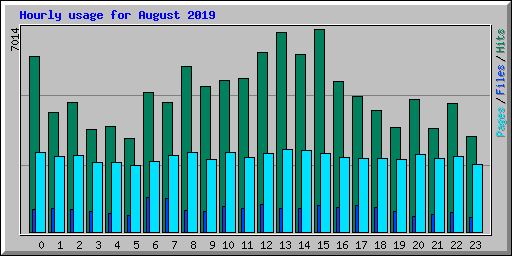 Hourly usage for August 2019