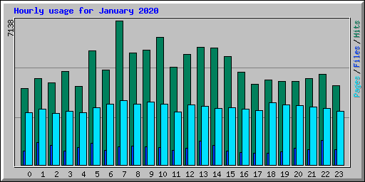Hourly usage for January 2020