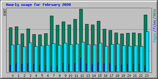 Hourly usage for February 2020