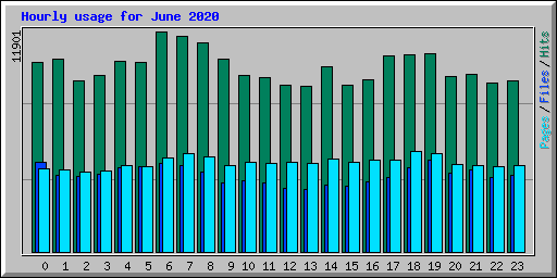 Hourly usage for June 2020