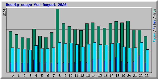Hourly usage for August 2020