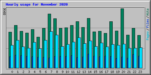 Hourly usage for November 2020
