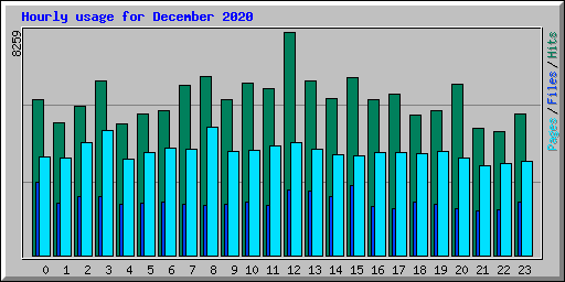 Hourly usage for December 2020