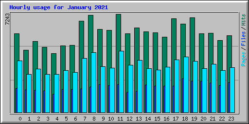 Hourly usage for January 2021