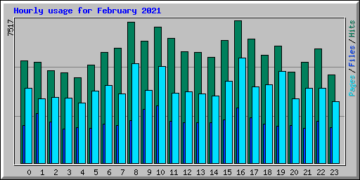 Hourly usage for February 2021