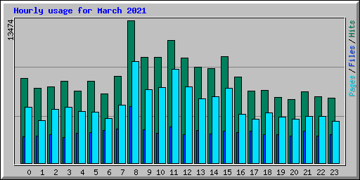Hourly usage for March 2021