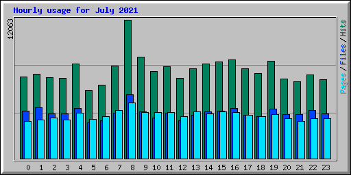 Hourly usage for July 2021