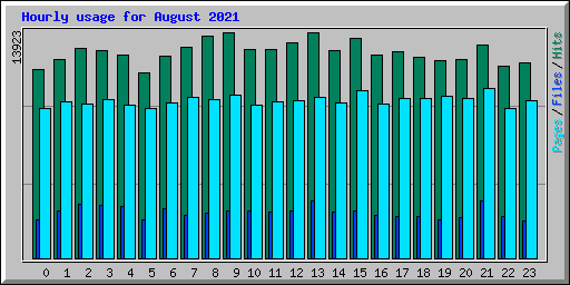 Hourly usage for August 2021